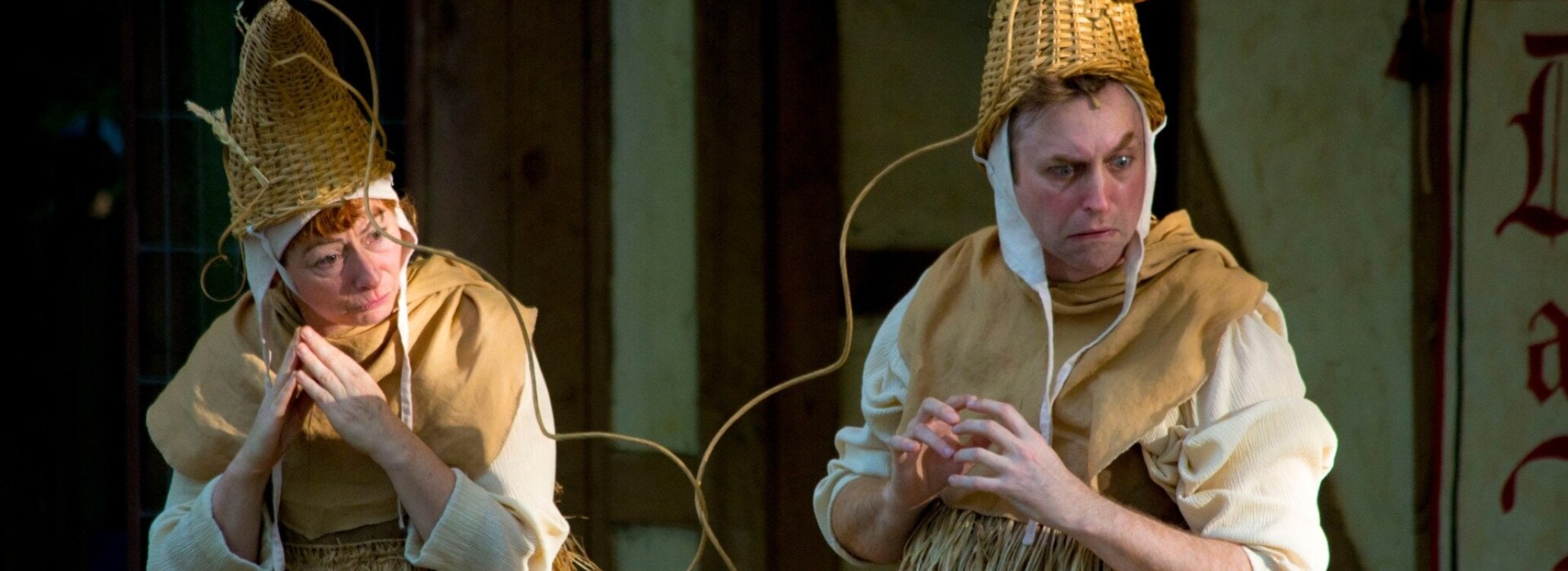 DEATH and the THE FOOL: A Medieval Folly